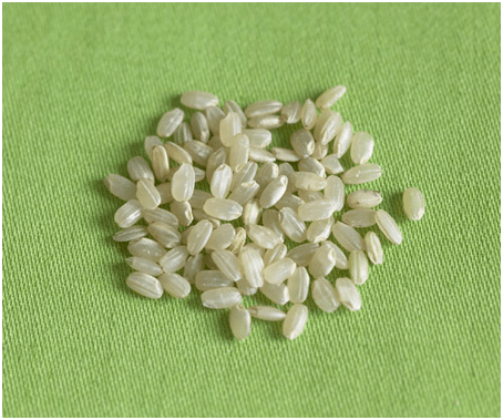 برنج قهوه ای دانه کوتاه